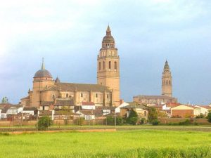Iglesias Santa Maria y San Pedro de Alaejos