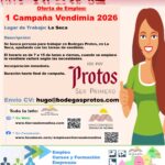 Bodegas Protos SL