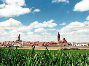 alaejos vista general